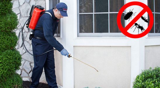Pursaklar Bit İlaçlama böcek ilaçlama ve haşere kontrolü — ilaclama-tr.com